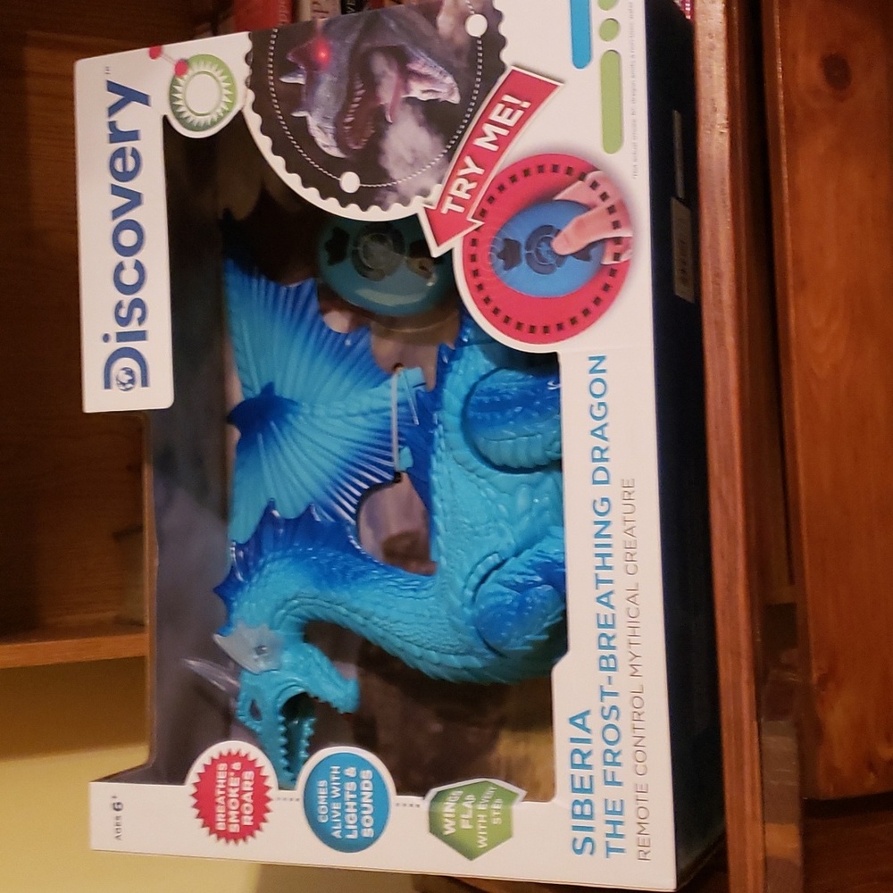Discovery remote control dragon